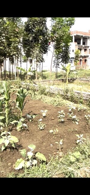 Plot Area in  Plot at Rupaspur – for Sale