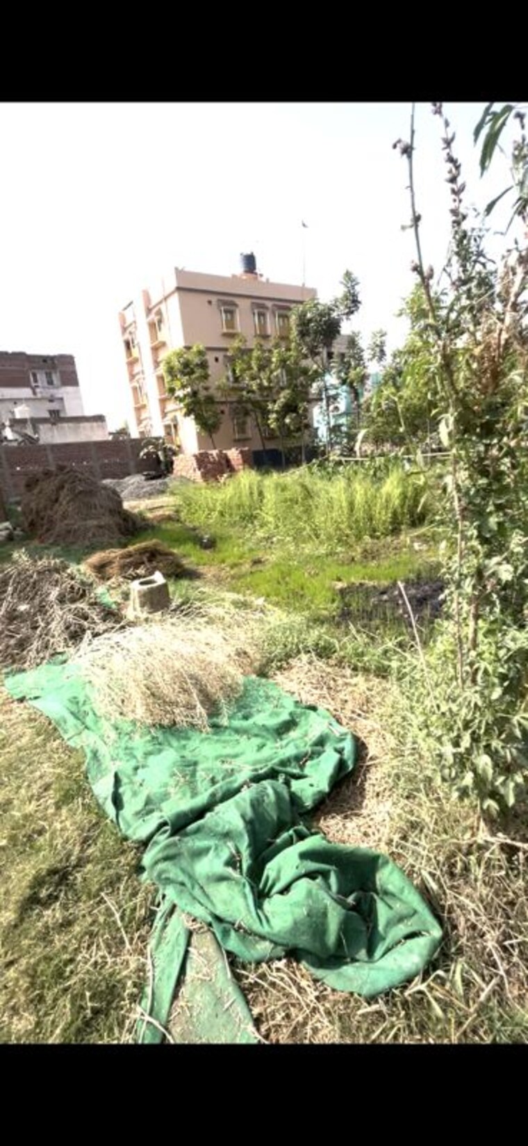 undefined, rupaspur  680 Sq.Ft. Plot In Rupaspur Patna 10222037