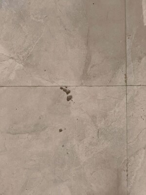  3 BHK Apartment at Chembur – for Rent