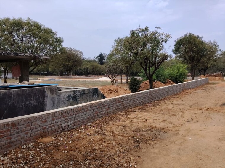 undefined, asola  1200 Sq.Ft. Plot In Asola Delhi 10220073