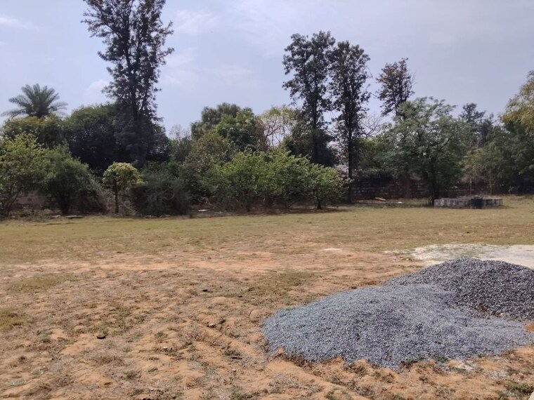 undefined, asola  1200 Sq.Ft. Plot In Asola Delhi 10220073