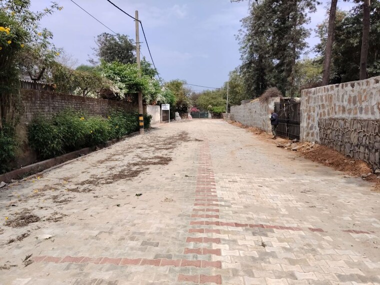 undefined, asola  1200 Sq.Ft. Plot In Asola Delhi 10220054