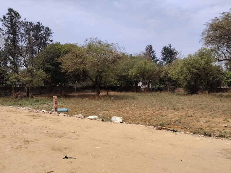 undefined, asola  1200 Sq.Yd. Plot In Asola Delhi 10220132