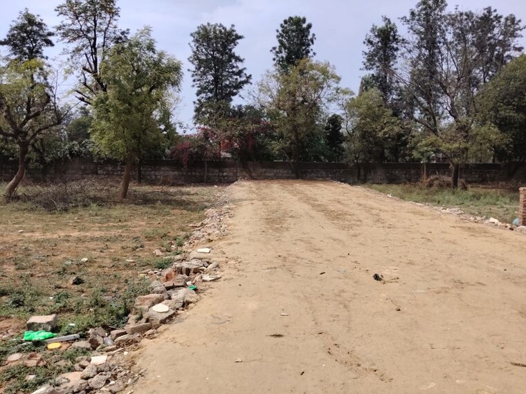 undefined, asola  1200 Sq.Yd. Plot In Asola Delhi 10220132
