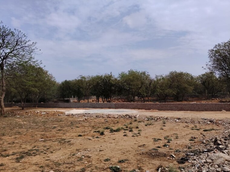 undefined, asola  1200 Sq.Yd. Plot In Asola Delhi 10220132
