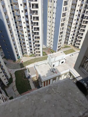 Master Bedroom in 1.5 BHK Apartment at Amrapali Dream Valley, Tech Zone 4 Greater Noida – for Sale