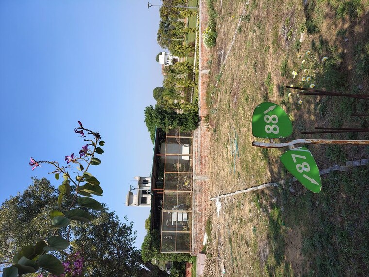 Garden, rambha-corona-greens  125 Sq.Yd. Plot In Sohna Sector 5 Gurgaon 10222760