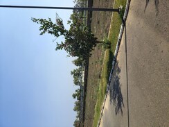 Plot For Sale in Rambha Corona Greens