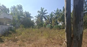  Plot For Sale in Thammenahalli