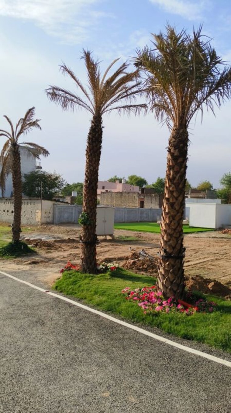 Garden, newstone-coral-park  150 Sq.Yd. Plot In Sector 84a Faridabad 10223173