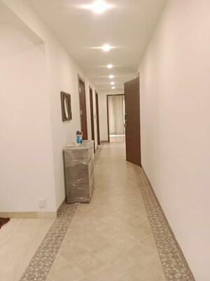 3 BHK Builder Floor For Rent in Safdarjung Enclave