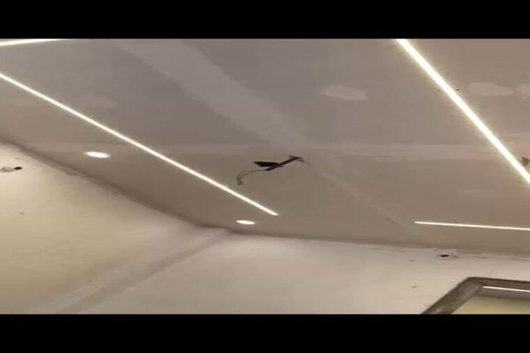 Room, awadh-complex 1.5 Bedroom 500 Sq.Ft. Independent House In Yahiyaganj Lucknow 10189307