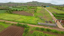 Plot For Sale in Patethan