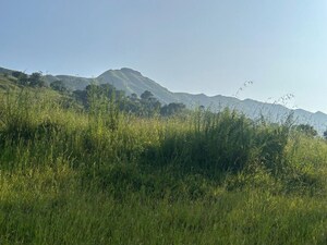  Plot – Nearby View at Velhe - for Sale