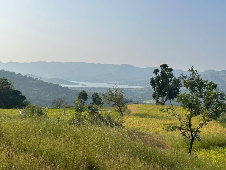 Garden, velhe  1 Acre Plot In Velhe Pune 10224142