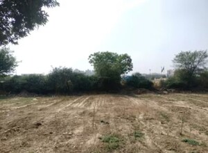  Plot For Sale in Bharat Colony