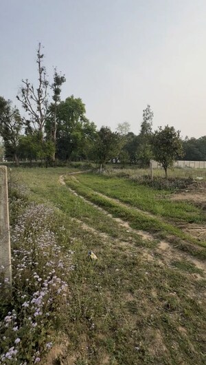 Plot Area in  Plot at Dharmawala – for Sale