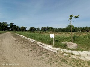 Plot Area in  Plot at Altus The Junction, Saini Majra – for Sale