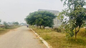 Plot Area in  Plot at Altus Prime, North Mullanpur – for Sale