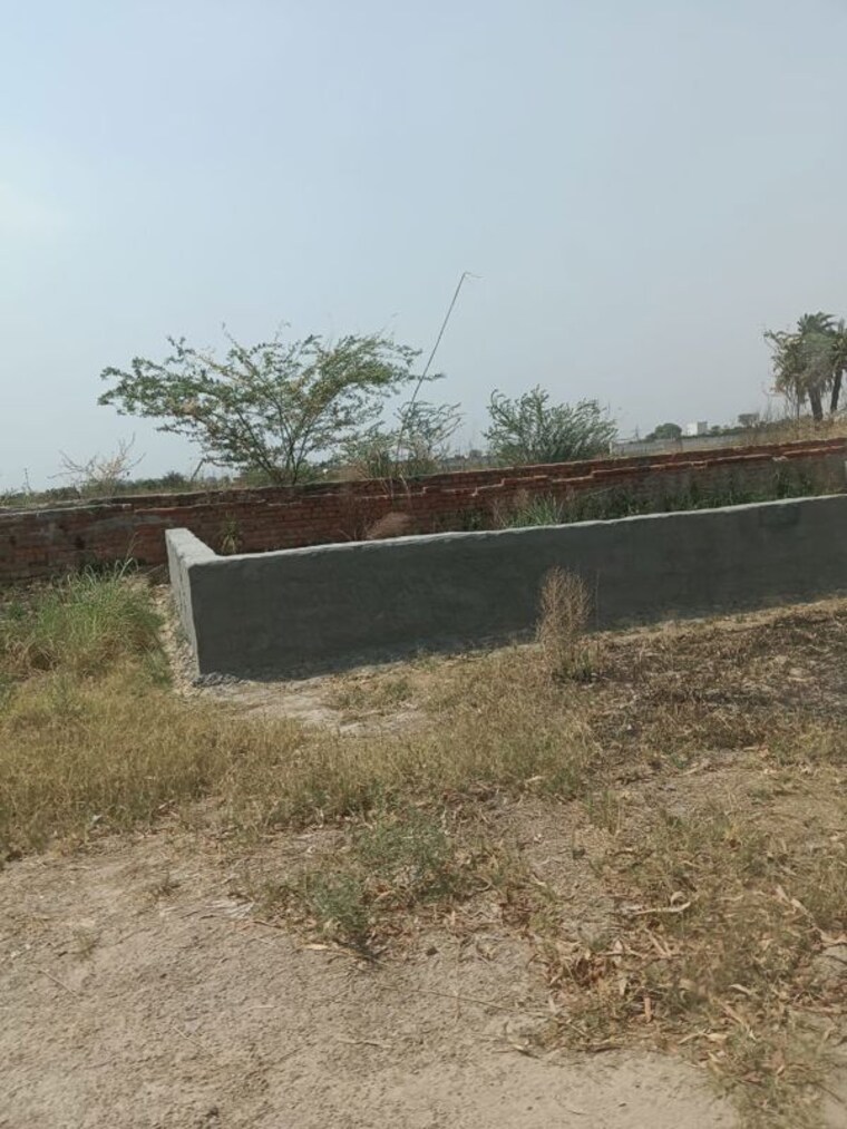 undefined, sector 6  1323 Sq.Ft. Plot In SectoR 6 Jhajjar 10225895