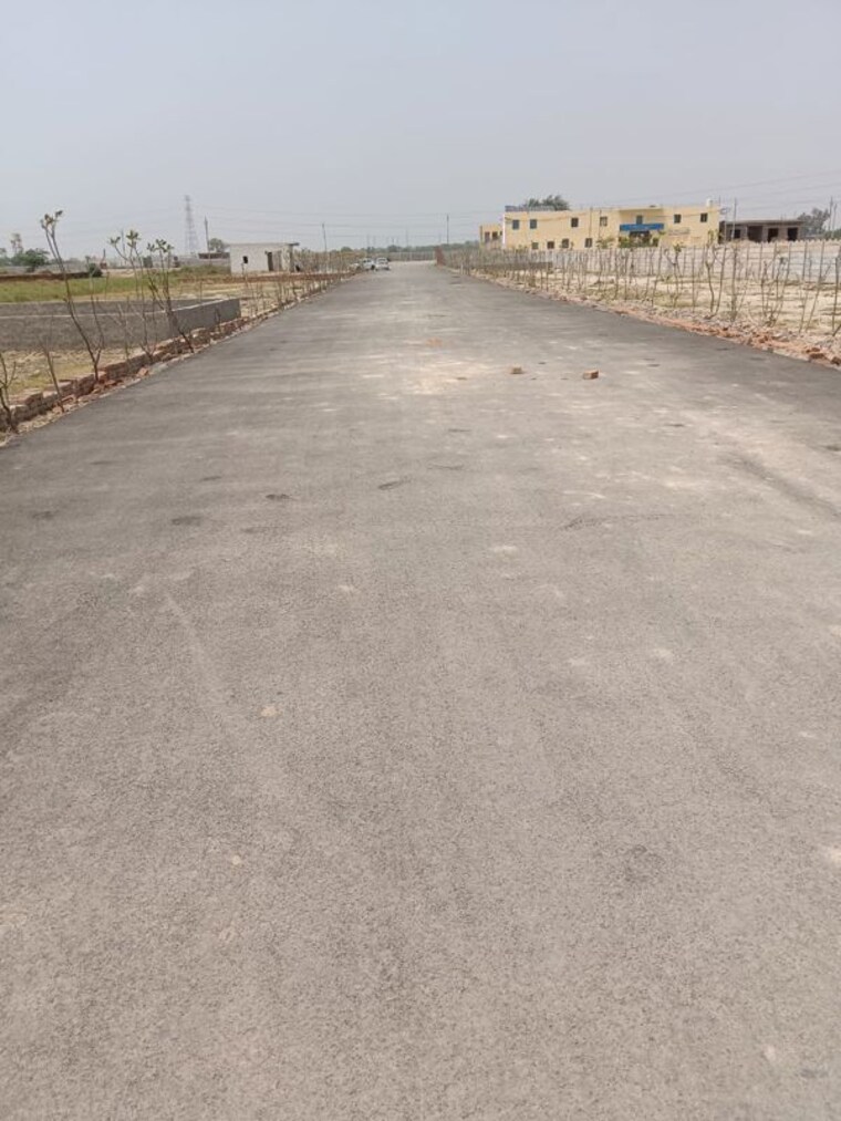 undefined, sector 6  1323 Sq.Ft. Plot In SectoR 6 Jhajjar 10225895
