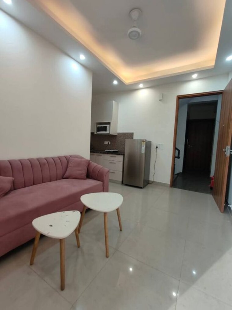 Living Room, saket 1 Bedroom 650 Sq.Ft. Apartment In Saket Delhi 10225976