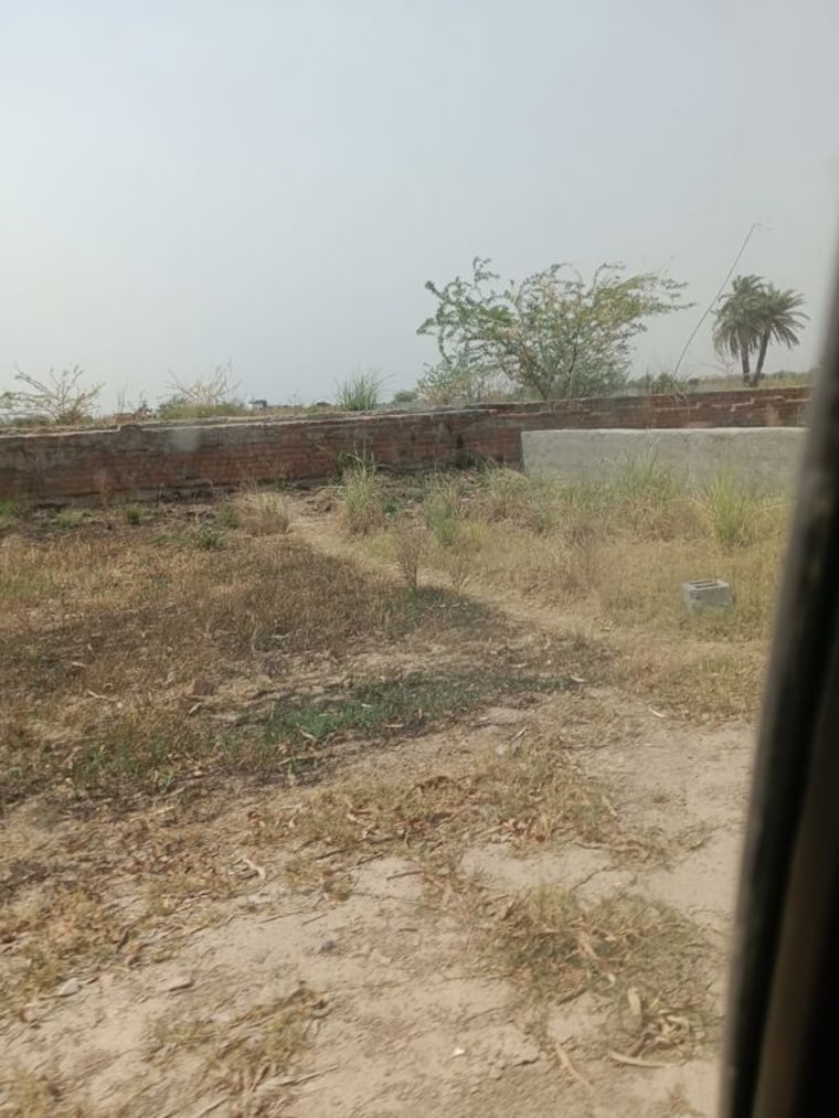 undefined, sector 6  1350 Sq.Ft. Plot In SectoR 6 Jhajjar 10226175
