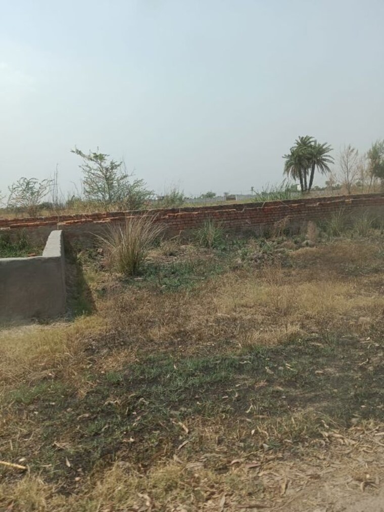 undefined, sector 6  1638 Sq.Ft. Plot In SectoR 6 Jhajjar 10226209