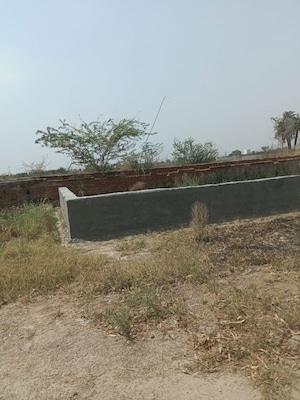 Plot Area in  Plot at SectoR-6 – for Sale