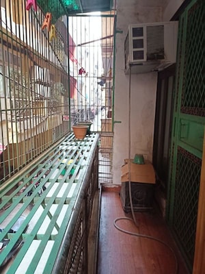 Balcony in 2 BHK Builder Floor at Neb Sarai – for Rent