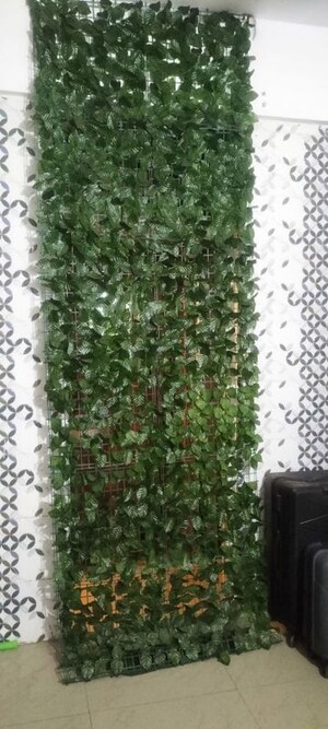 1 RK Apartment – Garden View at Cassia Estate, Pi I And Ii Greater Noida - for Rent