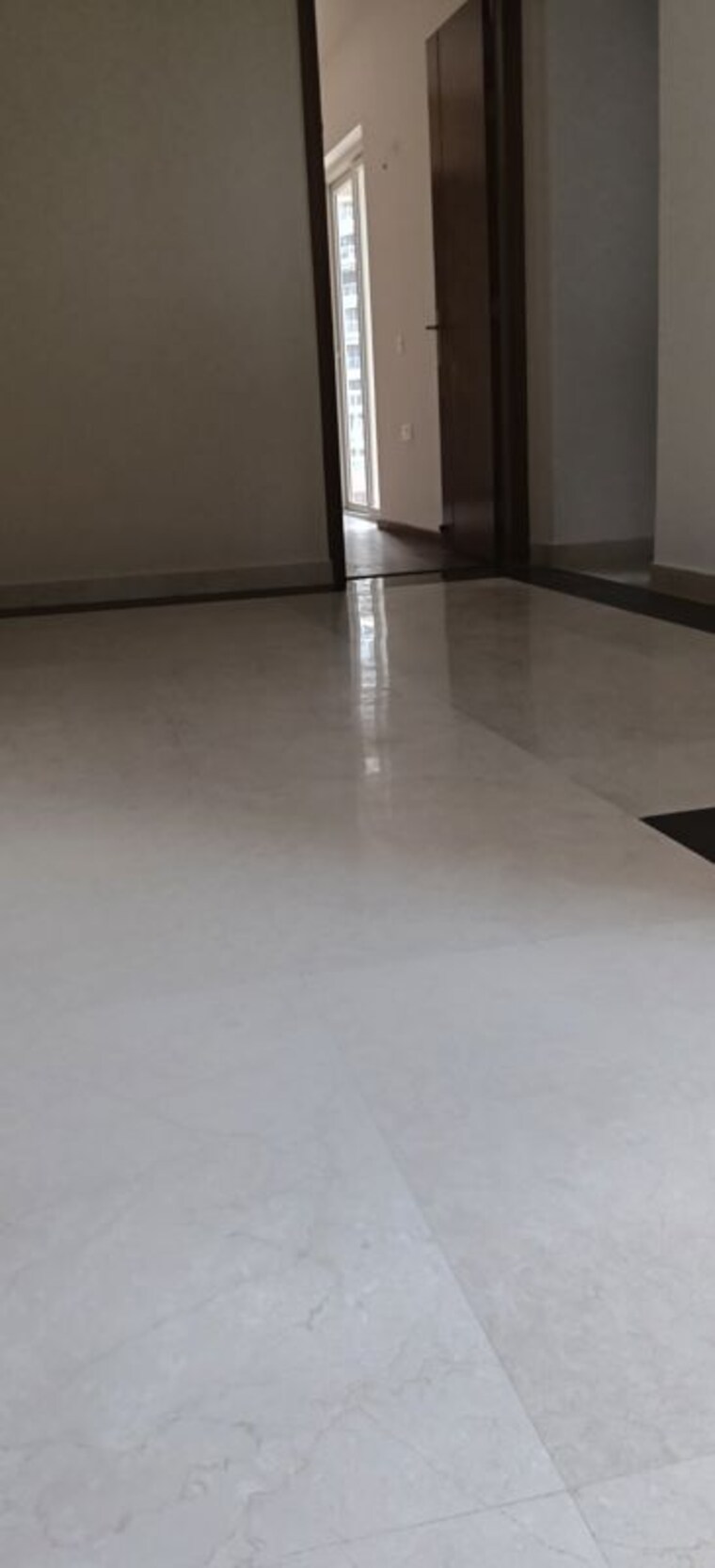 Room, orchid-petals 3 Bedroom 2061 Sq.Ft. Apartment In Sector 49 Gurgaon 10227060