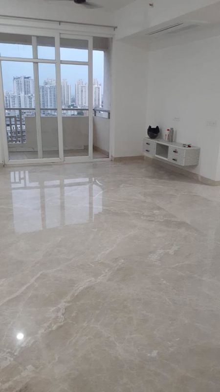 2 BHK Apartment For Rent in SS The Leaf
