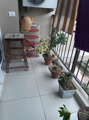 Balcony in 2 BHK Apartment at Barnala Green Lotus Avenue, Ambala Highway – for Rent