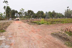Plot Area in  Plot at Shyamnagar – for Sale