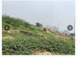 Plot Area in  Plot at GLS Avenue City, Sector 92 – for Sale