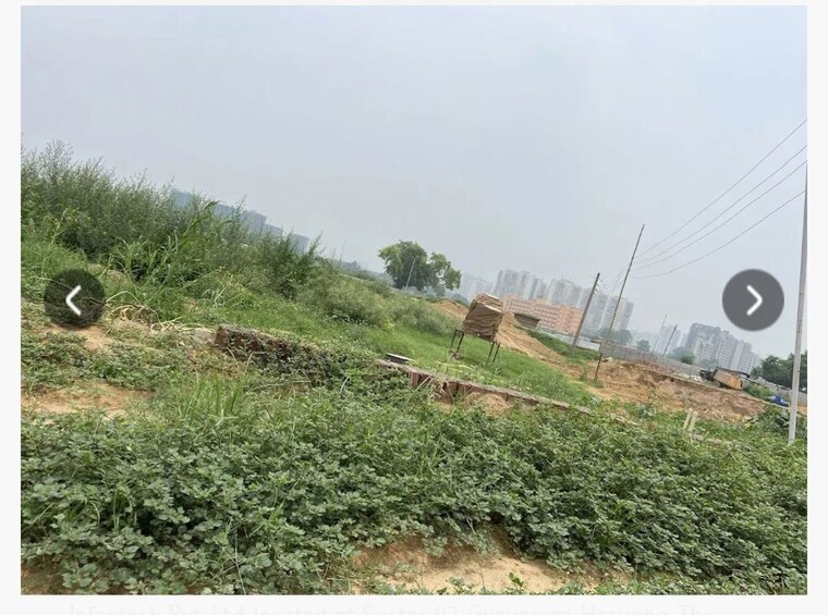 undefined, gls-avenue-city  175 Sq.Yd. Plot In Sector 92 Gurgaon 10228183