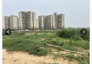  Plot For Sale in GLS Avenue City, Sector 92