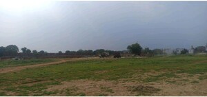 Plot Area in  Plot at GLS Avenue City, Sector 92 – for Sale