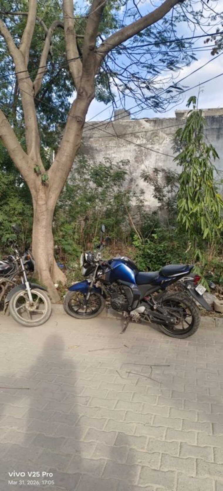 Exterior View, sikandra  150 Sq.Yd. Plot In Sikandra Agra 10228282