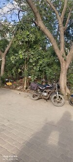 150 Sq.Yd. Plot in Sikandra