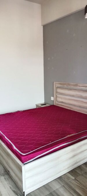 Room in 1 BHK Apartment at Paramount Golfforeste, Zeta I Greater Noida – for Rent