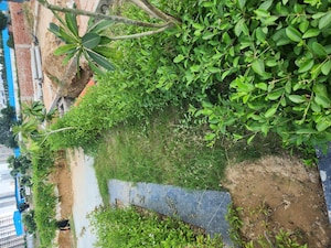 Plot Area in  Plot at JMS The Pearl, Sector 95 – for Sale