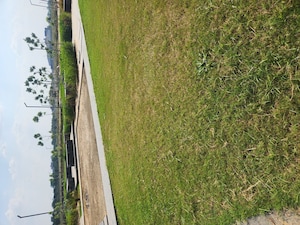 Plot Area in  Plot at JMS The Pearl, Sector 95 – for Sale