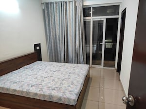 1 BHK Apartment For Rent in AVL 36 Gurgaon, Sector 36
