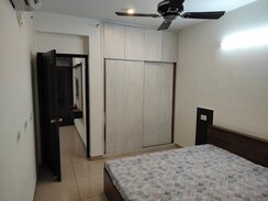 1 BHK Apartment For Rent in AVL 36 Gurgaon