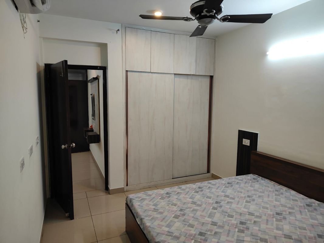 1 BHK Apartment For Rent in AVL 36 Gurgaon