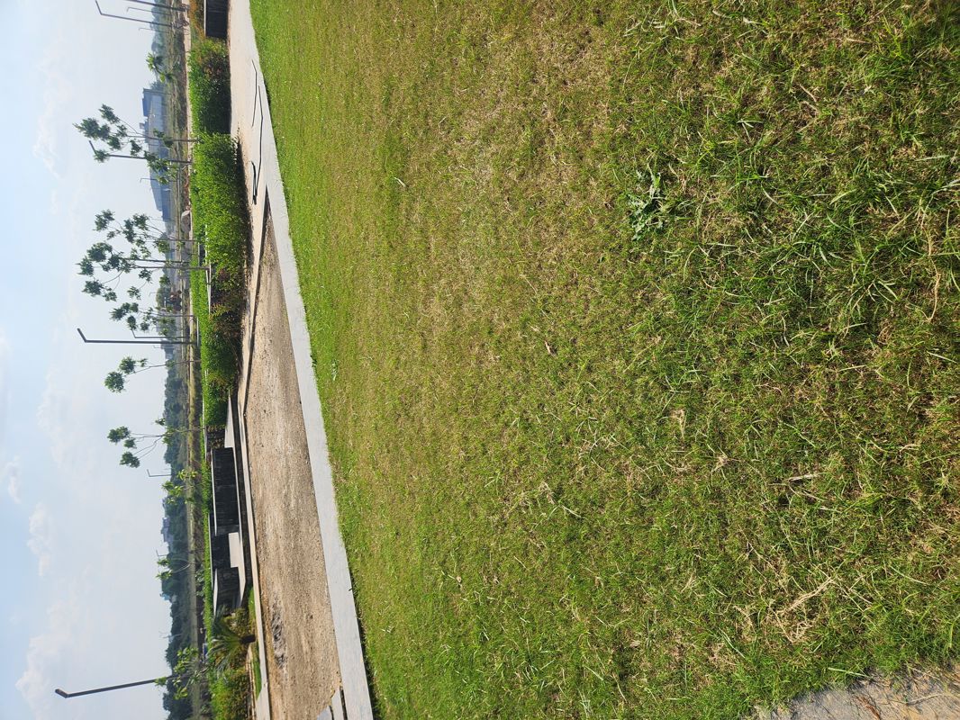 Plot For Sale in JMS The Pearl