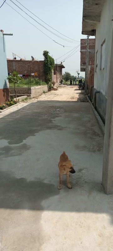 Plot For Sale in Dlf Ankur Vihar