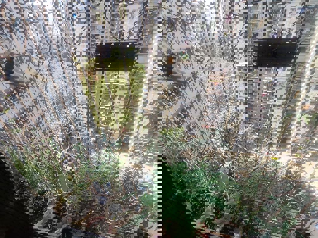 2 BHK 930 Sq.Ft. Apartment in Planet Powai CHS